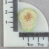 Cartoon Fruit Resin And Plastic Hairpin Accessories With Drip Oil Finish For Children's Headwear And Decorative Shoe Charms