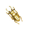 Creative Metal Beetle Geometric Tail Unisex Ring With Electroplating
