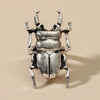 Creative Metal Beetle Geometric Tail Unisex Ring With Electroplating
