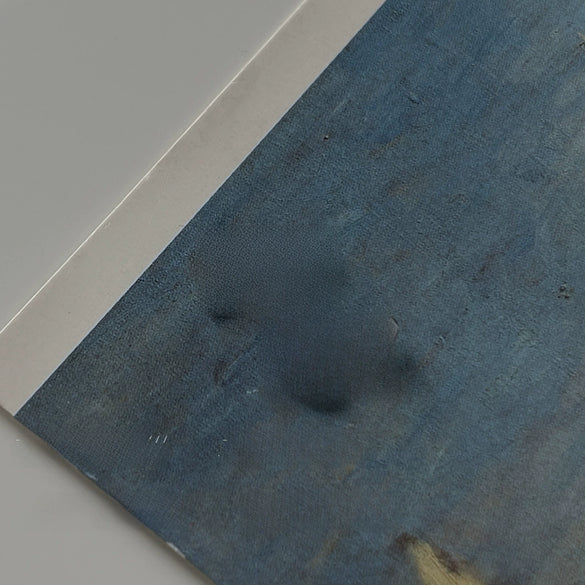 Cute Mini Two Ears Small Ling Pike Earrings For Women With 925 Silver Needles Copper Material Animal Pattern Electroplating Design