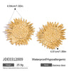 Earrings Stainless Steel Geometric Electroplated Women's