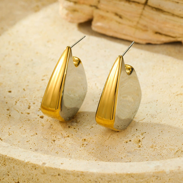 Earrings Stainless Steel 18K Electroplating Irregular Fish Fin Glossy Color Matching Fashion Women's
