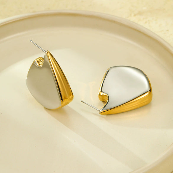 Earrings Stainless Steel 18K Electroplating Irregular Fish Fin Glossy Color Matching Fashion Women's