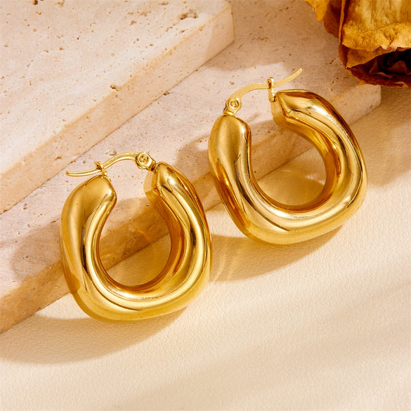 Earrings Titanium Steel Geometric Vacuum Furnace Plated