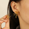 Earrings 316L Stainless Steel Star Pattern Electroplating Women's Cold Style