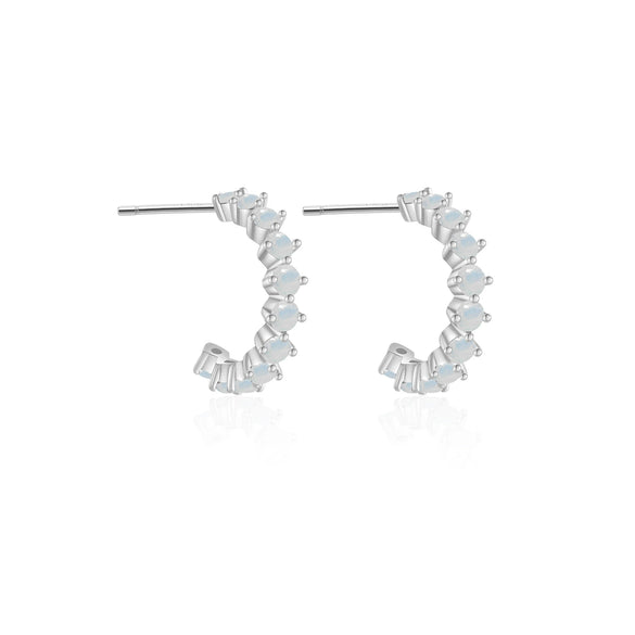 Elegant S925 Silver Electroplated Geometric Earrings For Women