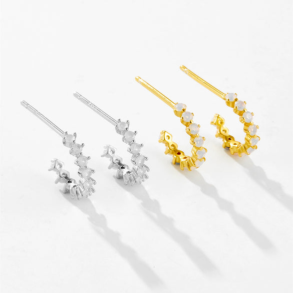 Elegant S925 Silver Electroplated Geometric Earrings For Women