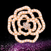 Elegant Star Flower Snowflake Imitation Pearl Alloy Rhinestone Women'S Brooches
