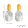 Exaggerated Colormatching Titanium Steel Earrings With Geometric Oval Ginkgo Leaf Design Electroplated Cold Style For Women