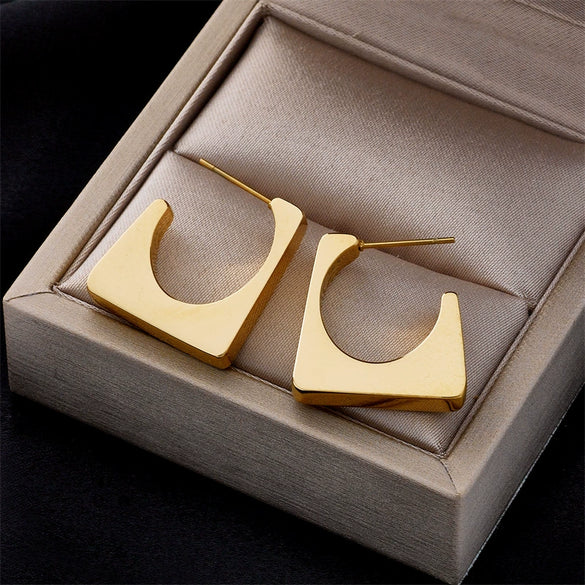 Fashion Geometric Cold Style Stainless Steel Women's Earrings