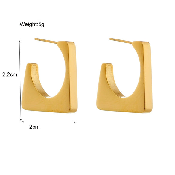 Fashion Geometric Cold Style Stainless Steel Women's Earrings