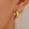 Fashion Geometric Cshaped Inlaid Zircon Titanium Steel Earrings 18K Gold Plated