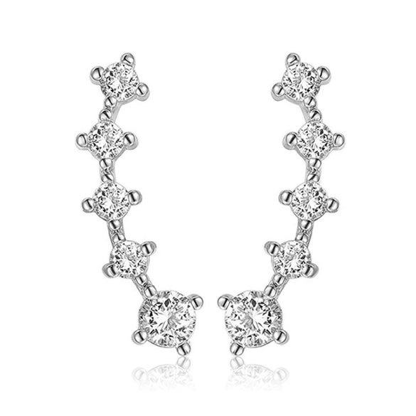 Fashion Geometric 925 Silver Zirconium Earrings With Electroplating
