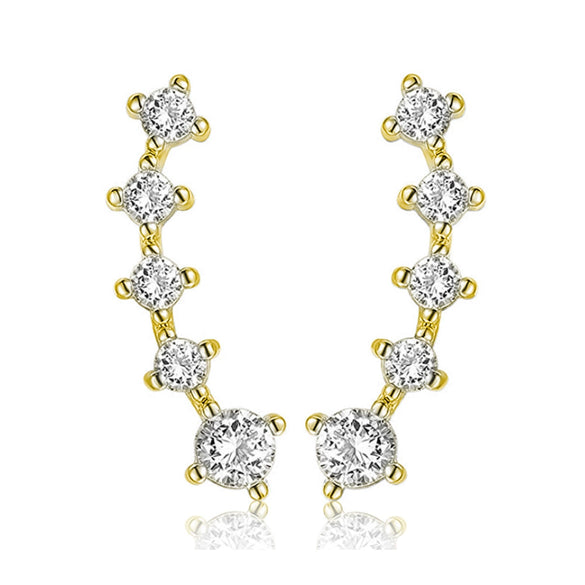 Fashion Geometric 925 Silver Zirconium Earrings With Electroplating