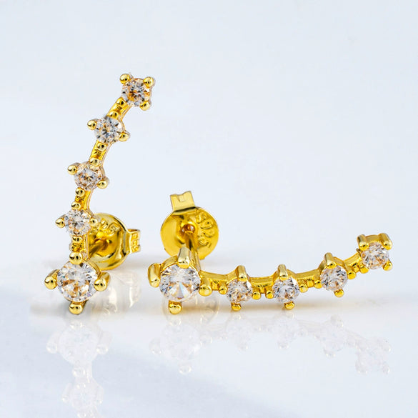 Fashion Geometric 925 Silver Zirconium Earrings With Electroplating