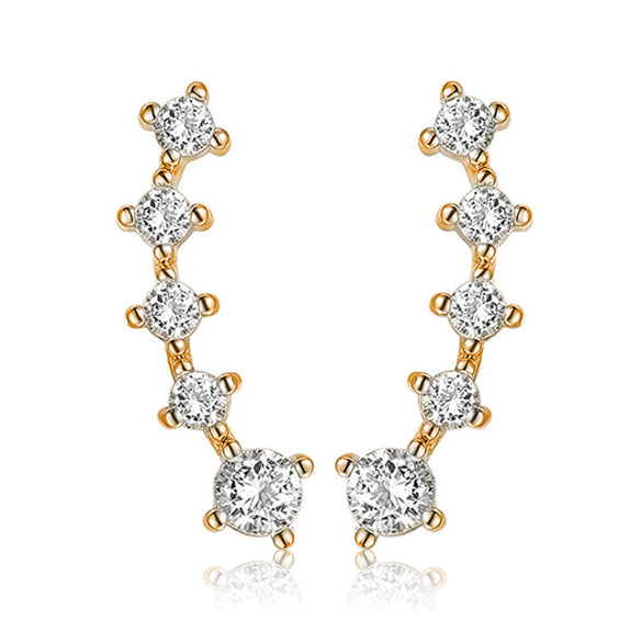 Fashion Geometric 925 Silver Zirconium Earrings With Electroplating