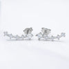 Fashion Geometric 925 Silver Zirconium Earrings With Electroplating