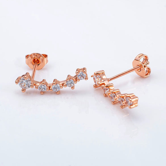 Fashion Geometric 925 Silver Zirconium Earrings With Electroplating