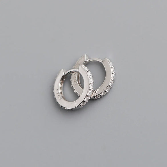 Fashion Geometric Sterling Silver Inlay Zircon Earrings 1 Pair