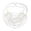 Fashion Handmade Imitation Pearl Bikini Chest And Body Chain With Starfish And Fan Shell For Women