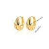 Fashion Jewelry Unisex Stainless Steel Gold Geometric Zircon Earrings With Electroplating