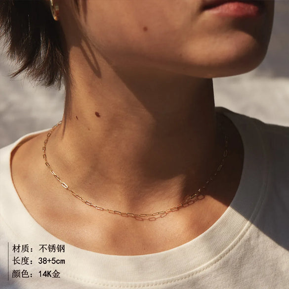Fashion Short Women'S Chain 316l Titanium Steel 14k Gold Plated Necklace Clavicle Chain Gooddiy