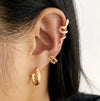 Wholesale Jewelry Fashion Snake Alloy Plating Earrings