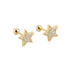 Fashion Star Sterling Silver Inlay Zircon Ear Studs 1 Pair