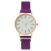 Fashion Women's Alloy Metal Strap Round Dial Quartz Watch With Magnet Strap