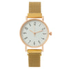 Fashion Women's Alloy Metal Strap Round Dial Quartz Watch With Magnet Strap