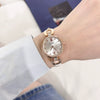 Fashionable Elegant Women's Alloy Quartz Watch With Round Dial And Pin Buckle