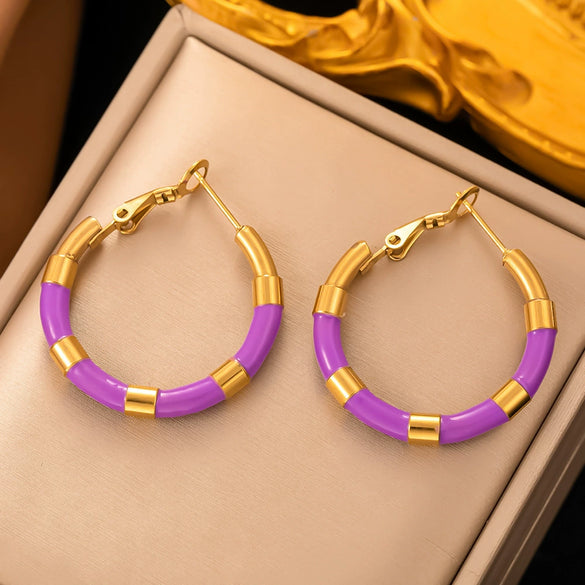 Fashionable High End Light Luxury Stainless Steel Earrings For Women With Geometric Design And Electroplating