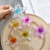 Flower Clip Hair Accessories Plumeria Pearlescent Frosted Baking Paint Little Fresh Style Women's