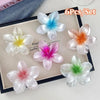 Flower Clip Hair Accessories Plumeria Pearlescent Frosted Baking Paint Little Fresh Style Women's