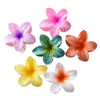 Flower Hairpins Feminine Highend Frangipani Style Electroplated