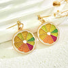 Fruit Shape Plastic Resin Dripping Oil Women's Earrings