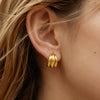 Geometric C Shaped Earrings For Women Stainless Steel With Titanium Steel Posts Pvd Vacuum Gold Plated Elegant High End Jewelry