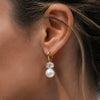 Geometric Titanium Steel Pearl Earrings For Women Minimalist Electroplated Stainless Steel Fashion Jewelry