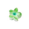 Hair Accessories Female Sweet Lovely Plant Flowers Egg Flower Grab Clip Baking Paint