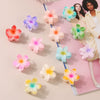 Hair Accessories Female Sweet Lovely Plant Flowers Egg Flower Grab Clip Baking Paint