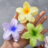 Hair Accessories Plumeria Shark Clip Handmade Highend Women's Jewelry