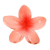 Hair Accessories Plumeria Shark Clip Handmade Highend Women's Jewelry
