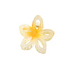 Hair Accessory Hollow Gradient Flower Shark Clip For Women Ps Material Baking Paint Plant Flowers Style