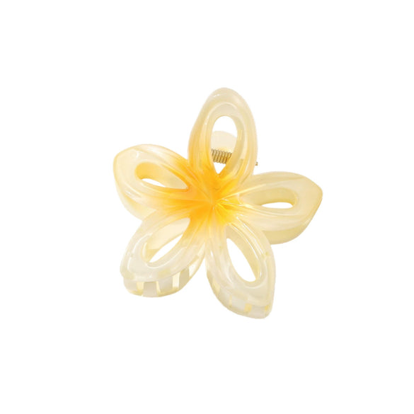 Hair Accessory Hollow Gradient Flower Shark Clip For Women Ps Material Baking Paint Plant Flowers Style