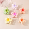 Hair Accessory Hollow Gradient Flower Shark Clip For Women Ps Material Baking Paint Plant Flowers Style