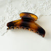 Hair Accessory Pc Material Fanshaped Glossy Polish Women's Hairpin
