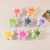 Hair Claw Clips Ps Material Colorful Flower Style Baking Paint Women's Hair Accessories