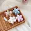 Hair Clip Plastic Resin Fresh Flower Shape Paint Women's