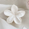 Hair Clip Plastic Resin Fresh Flower Shape Paint Women's