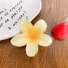 Hair Clip Plastic Resin Handmade Egg Flower Style For Women